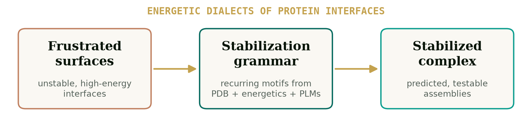 Energetic Dialects: frustrated surfaces to stabilization grammar to stabilized complex