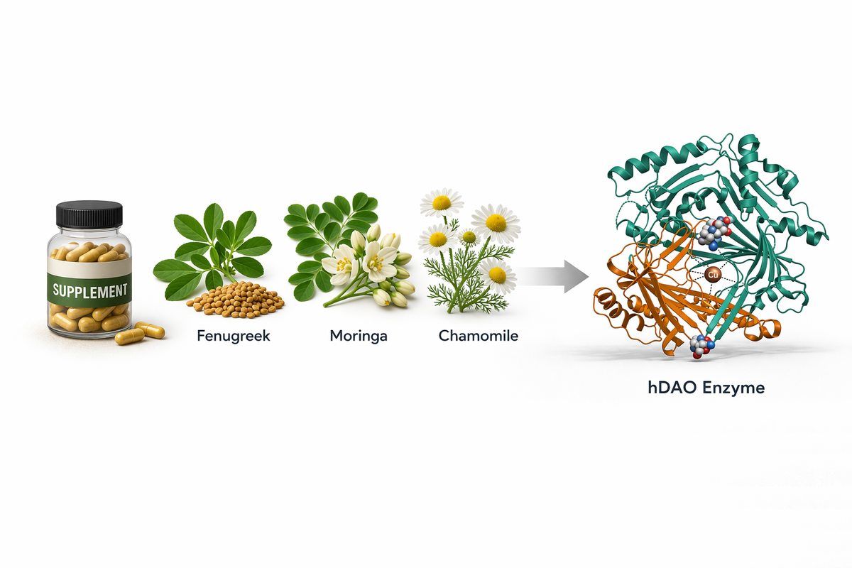 hDAO supplement docking