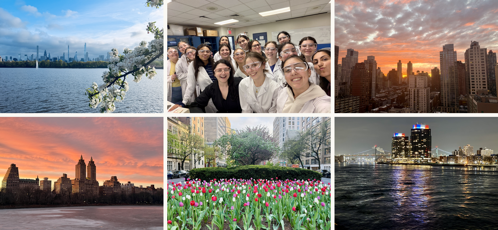 The lab and the city
